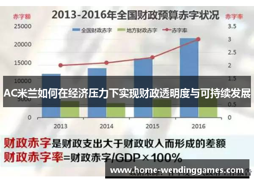 AC米兰如何在经济压力下实现财政透明度与可持续发展