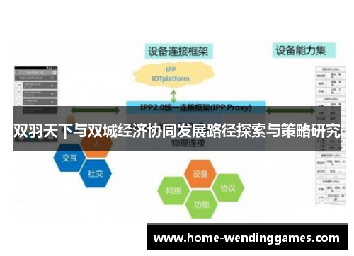 双羽天下与双城经济协同发展路径探索与策略研究