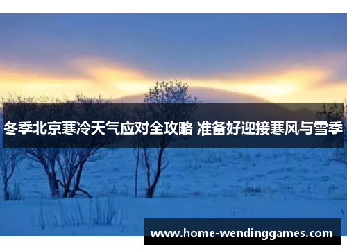 冬季北京寒冷天气应对全攻略 准备好迎接寒风与雪季