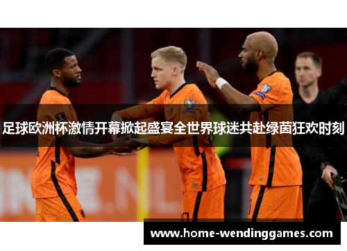 足球欧洲杯激情开幕掀起盛宴全世界球迷共赴绿茵狂欢时刻 足球欧洲杯激情开幕掀起盛宴全世界球迷共赴绿茵狂欢时刻