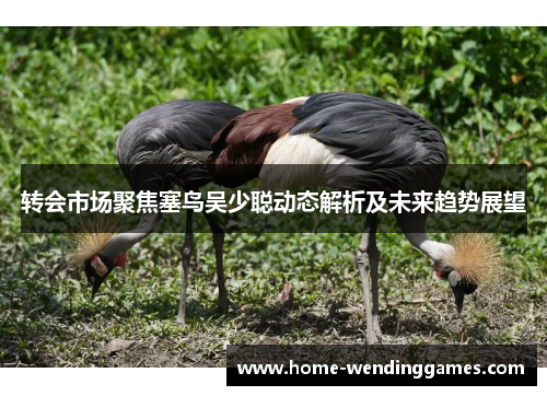 转会市场聚焦塞鸟吴少聪动态解析及未来趋势展望
