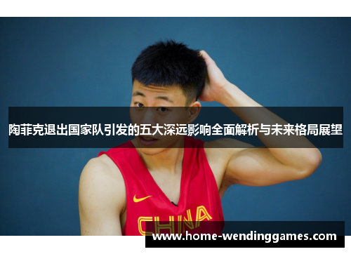陶菲克退出国家队引发的五大深远影响全面解析与未来格局展望