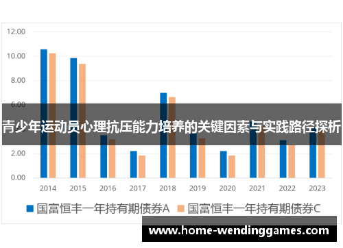 青少年运动员心理抗压能力培养的关键因素与实践路径探析