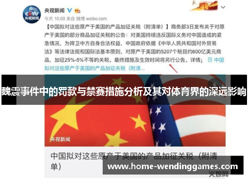 魏震事件中的罚款与禁赛措施分析及其对体育界的深远影响