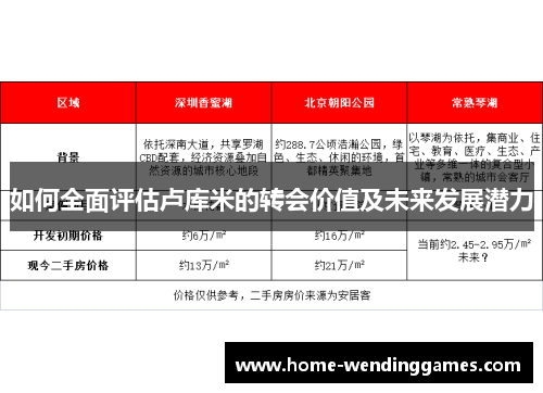 如何全面评估卢库米的转会价值及未来发展潜力