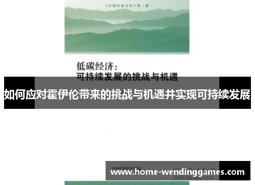 如何应对霍伊伦带来的挑战与机遇并实现可持续发展