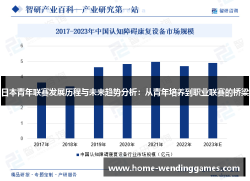 日本青年联赛发展历程与未来趋势分析：从青年培养到职业联赛的桥梁