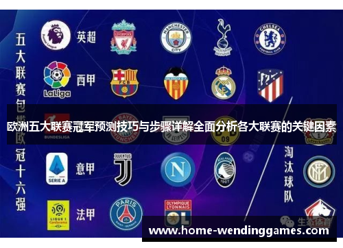 欧洲五大联赛冠军预测技巧与步骤详解全面分析各大联赛的关键因素