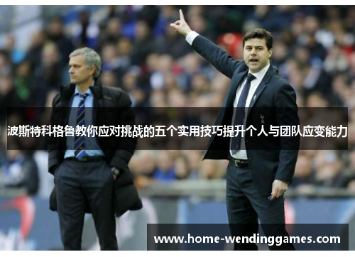 波斯特科格鲁教你应对挑战的五个实用技巧提升个人与团队应变能力